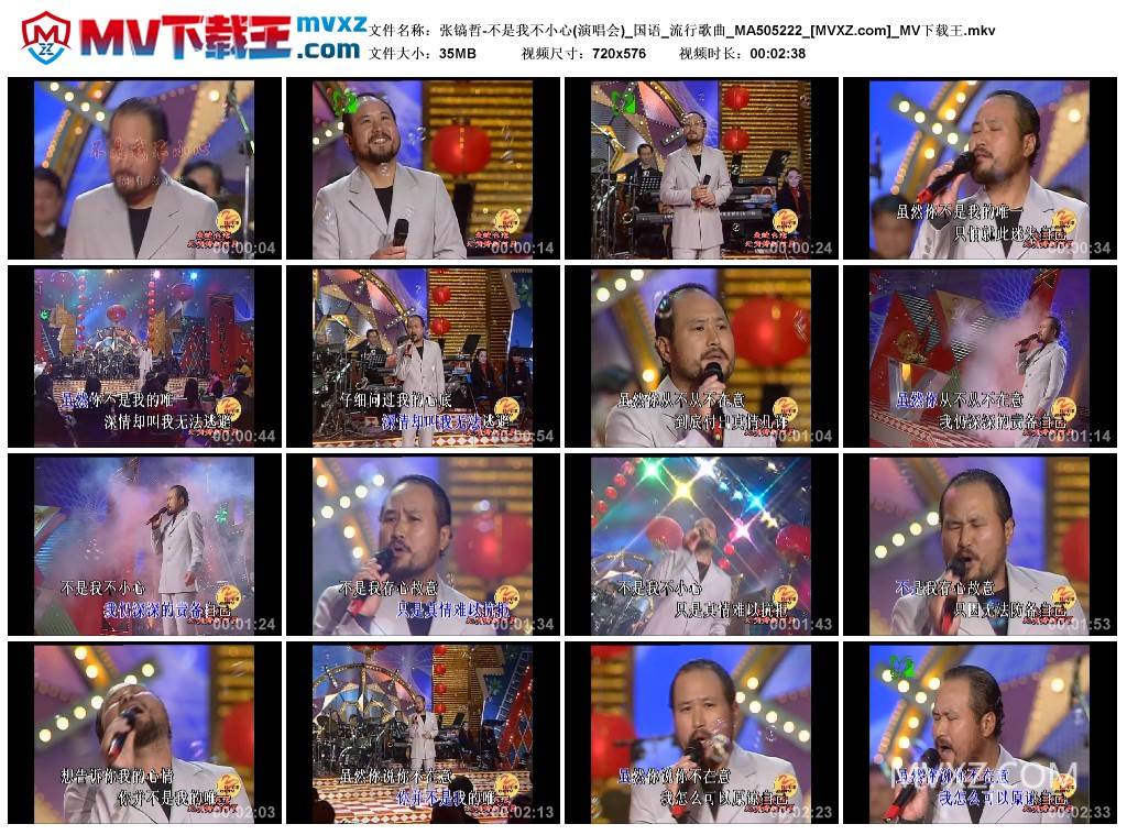 张镐哲-不是我不小心(演唱会)_国语_流行歌曲_MA505222